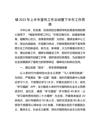 乡镇2023年上半年宣传工作总结暨下半年工作思路