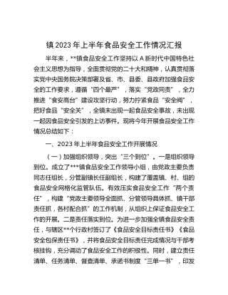 乡镇2023年上半年食品安全工作总结汇报