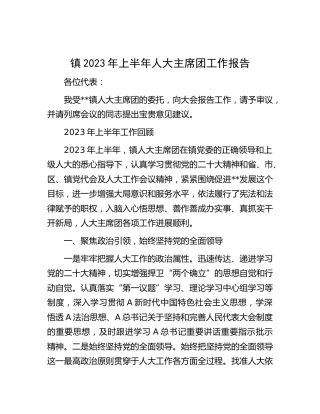 乡镇2023年上半年人大主席团工作报告（总结）