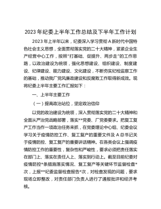 2023年公司纪委上半年工作总结