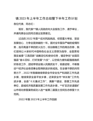 乡镇2023年上半年工作总结暨下半年工作计划（大会报告）