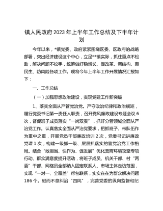 乡镇2023年上半年工作总结及下半年计划