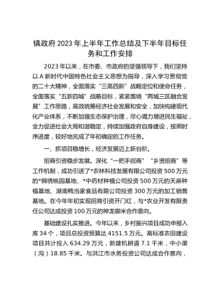 乡镇2023年上半年工作总结及下半年工作计划（2）