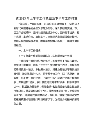 乡镇2023年上半年工作总结及下半年工作打算