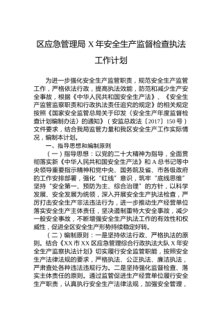 区应急管理局 安全生产监督检查执法工作计划