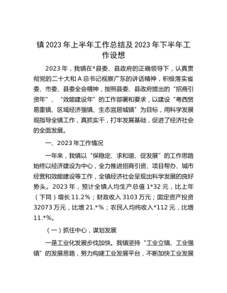 乡镇2023年上半年工作总结及2023年下半年工作设想