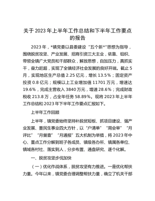 乡镇2023年上半年工作总结和下半年工作要点