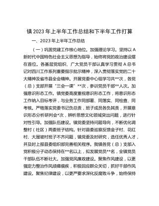 乡镇2023年上半年工作总结和下半年工作打算
