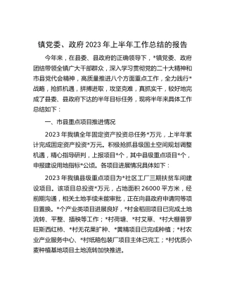 乡镇2023年上半年工作总结的报告