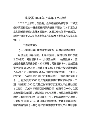 乡镇2023年上半年工作总结
