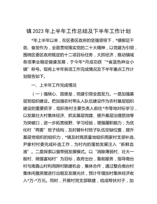 乡镇2023年上半年工作总结（2）