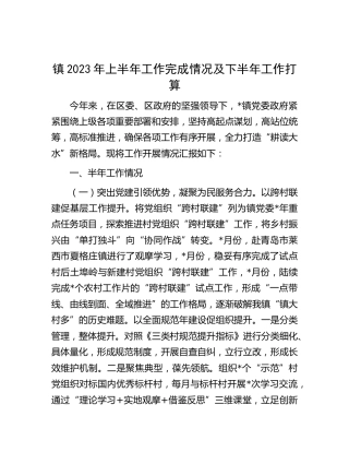 乡镇2023年上半年工作完成情况总结汇报