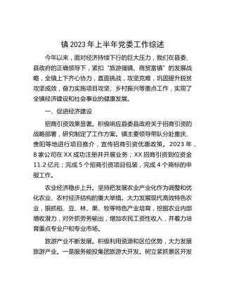 乡镇2023年上半年党委工作总结综述