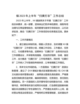 乡镇2023年上半年“扫黄打非”工作总结