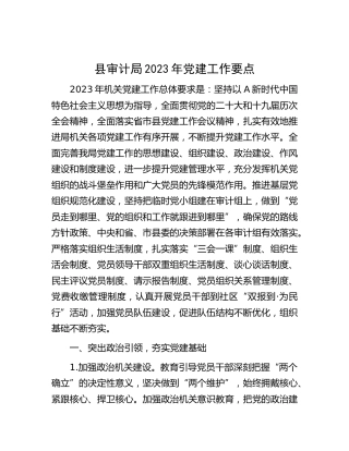 2023年党建工作要点（审计）