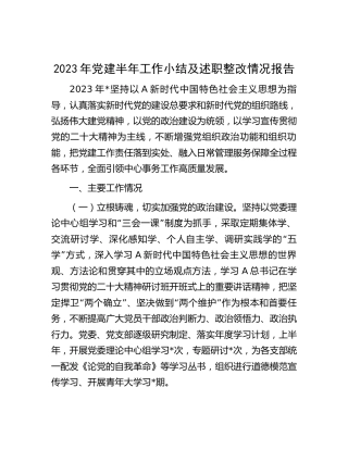 2023年党建半年工作总结及述职整改情况报告