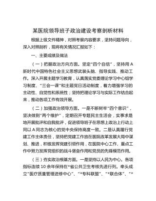 医院领导班子政治建设考察剖析