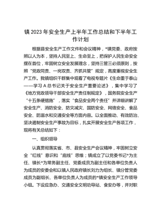 乡镇2023年安全生产上半年工作总结和下半年工作计划