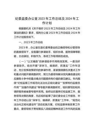 纪委监委办公室2023年工作总结3700字