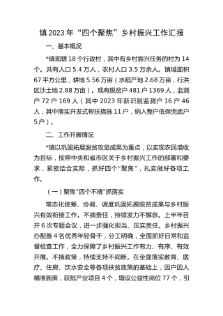 乡镇2023年“四个聚焦”乡村振兴工作汇报