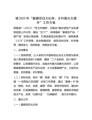 乡镇2023年“富硒项目大比拼、乡村振兴大提升”工作方案