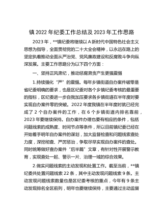 乡镇2022年纪委工作总结及2023年工作思路