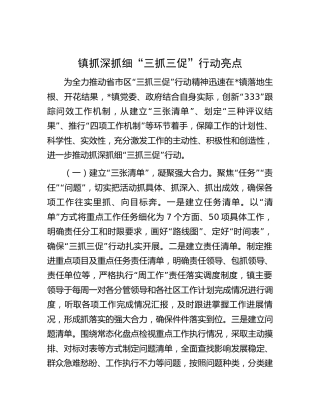 乡镇“三抓三促”行动亮点汇报
