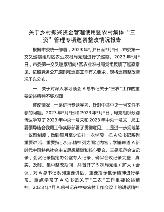 乡村振兴资金管理使用暨农村集体“三资”管理专项巡察整改情况报告