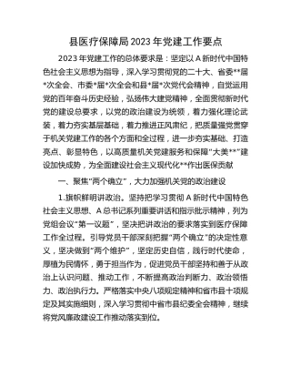 医保系统2023年党建工作要点3800字