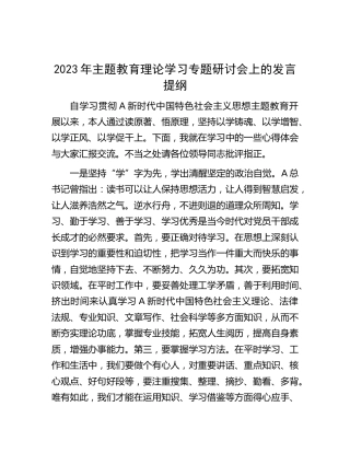 2023年主题教育理论学习专题研讨会上的发言