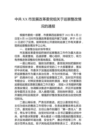 市发展改革委党组关于巡察整改情况的通报（20230403）