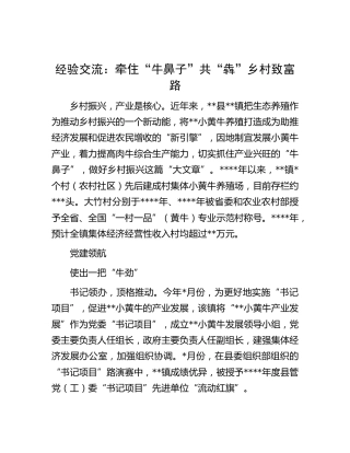 乡村振兴经验交流