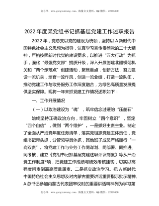 2022年度书记抓基层党建工作述职报告3900字