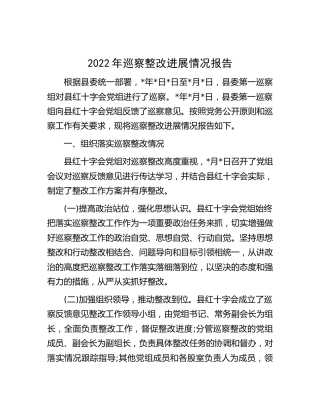 2022年巡察整改进展情况报告（红十字会）