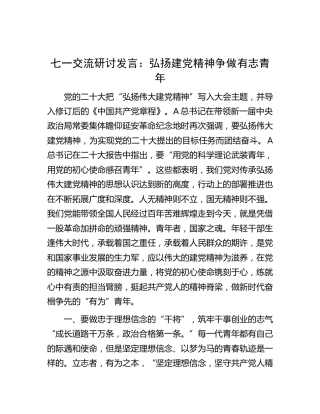 七一研讨发言：弘扬建党精神 争做有志青年