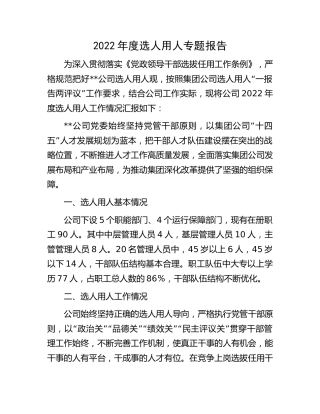 2022年度选人用人专题报告3500字（公司）