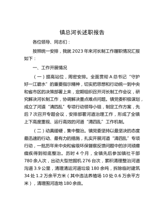 乡镇总河长述职报告