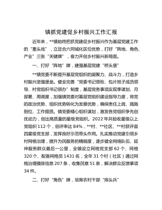 乡镇抓党建促乡村振兴工作汇报