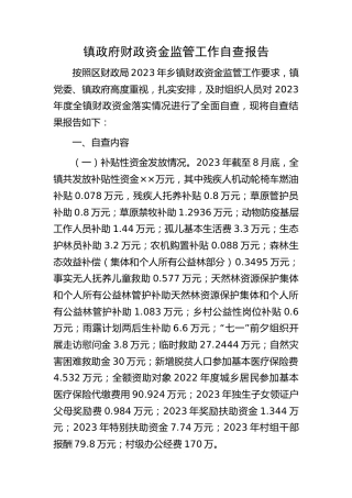 乡镇政府财政资金监管工作自查报告