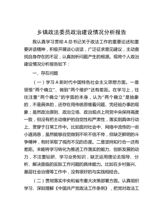 乡镇政法委员政治建设情况分析报告3300字
