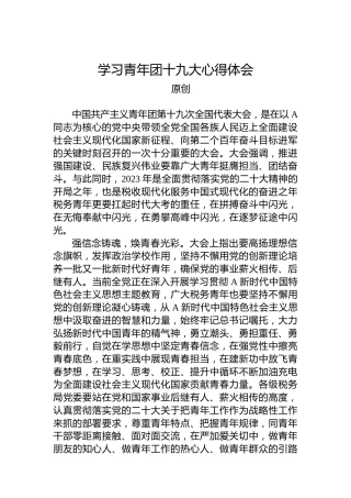 税务部门学习共青团十九大心得