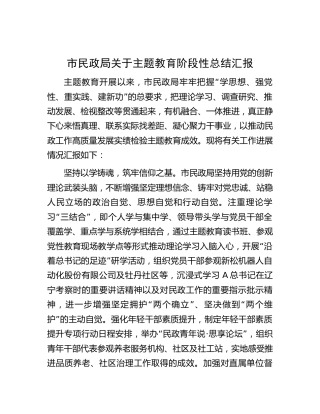 市民政系统主题教育阶段性总结汇报