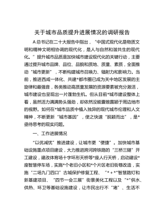 城市品质提升进展情况的调研报告