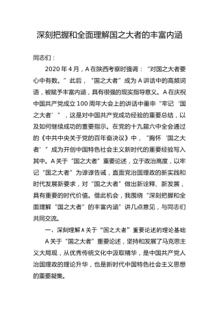 党课ppt+讲稿：深刻把握和全面理解国之大者的丰富内涵（1万字，30张）