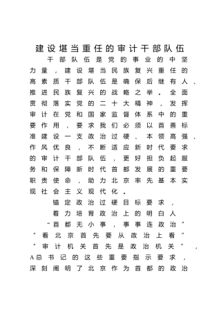 党课ppt+讲稿：建设堪当重任的审计干部队伍（3500字，15张幻灯片）