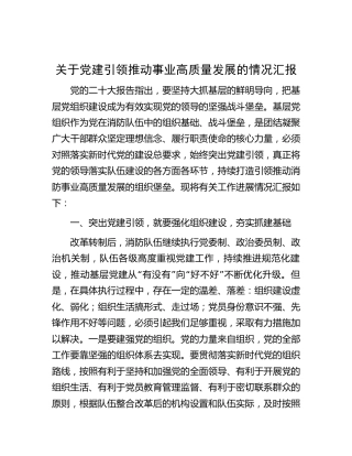 党建引领推动事业高质量发展的情况汇报（消防5600字）