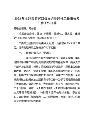 2023年主题教育巡回督导组阶段性工作总结报告1900字