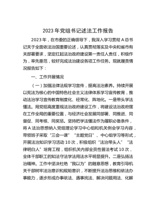 2023年书记述法工作报告（人大2400字）