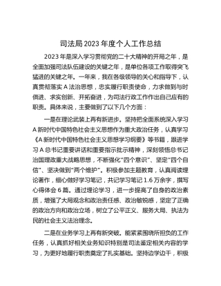 2023年度司法个人工作总结2100字