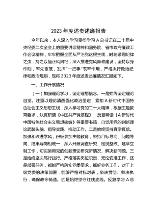 2023年度述责述廉报告3000字
